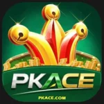 PKACE Game �C Latest Version APK Download, Features and Gameplay Guide